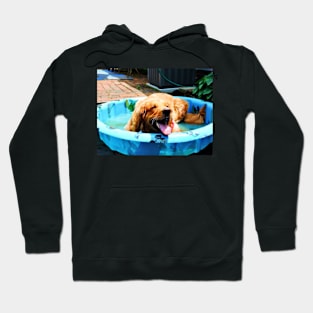 Cool Dawg Hoodie